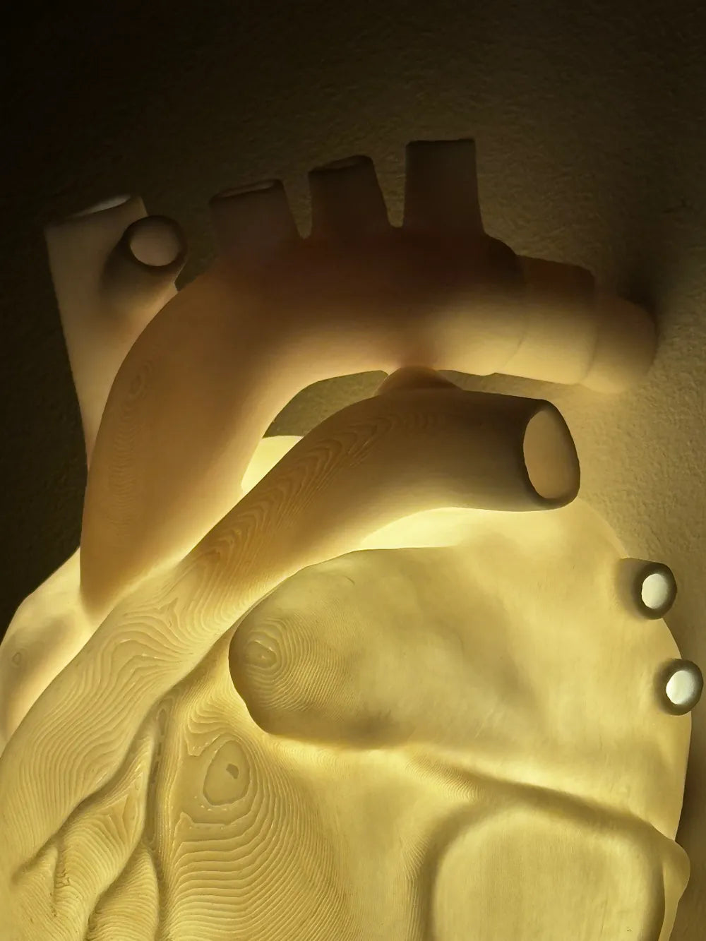 Heart Lamp