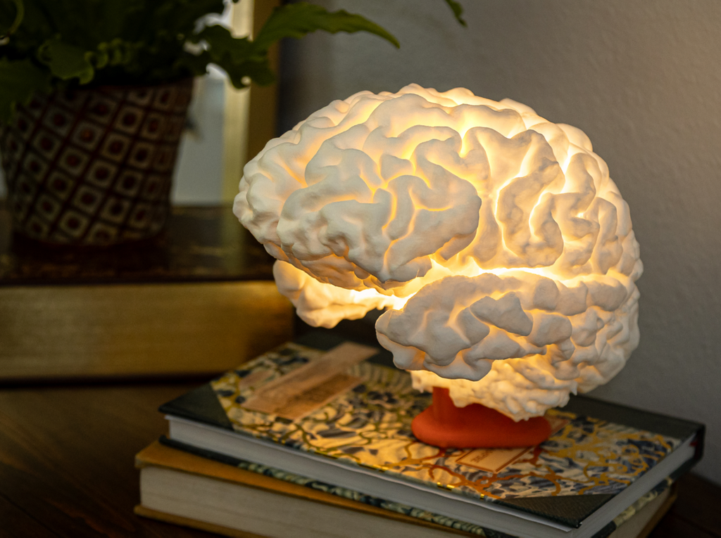 Life-Size Anatomical Brain Lamp – Realistic Neuroscience Desk Light